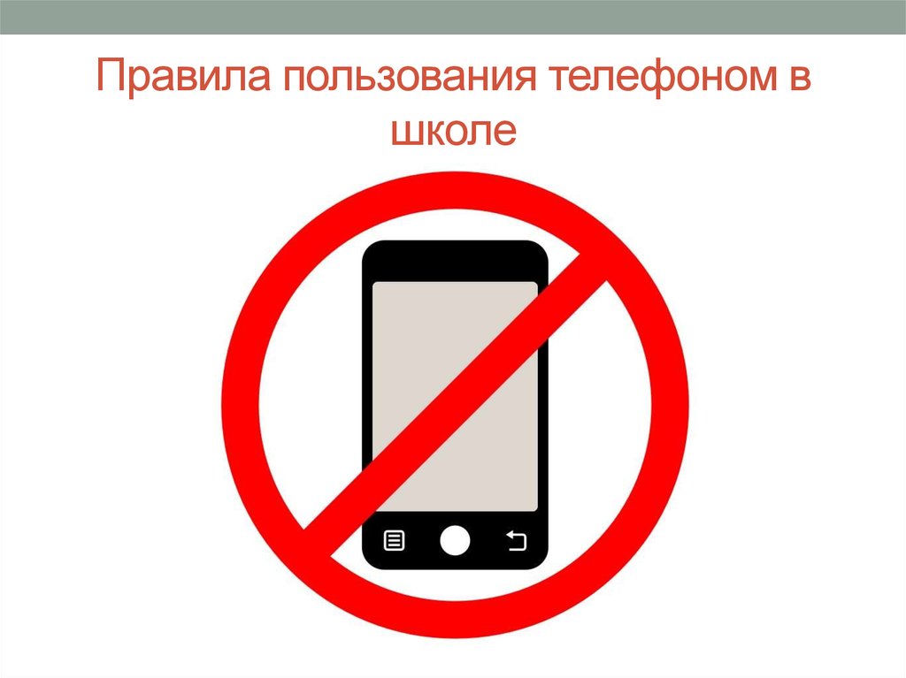 Точка роста: полезный материал 1.